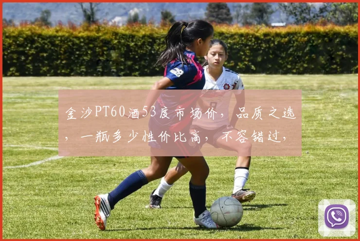 金沙PT60酒53度市场价，品质之选，一瓶多少性价比高，不容错过，抢购从速